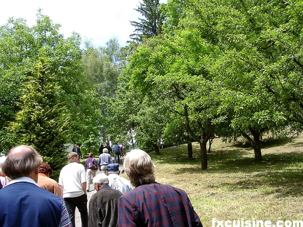 mobutu auction savigny 12 1000 jpg